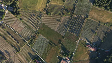 Rural-vineyards-aerial-drone-vertical-view-sunset-time-France-field-crops-view